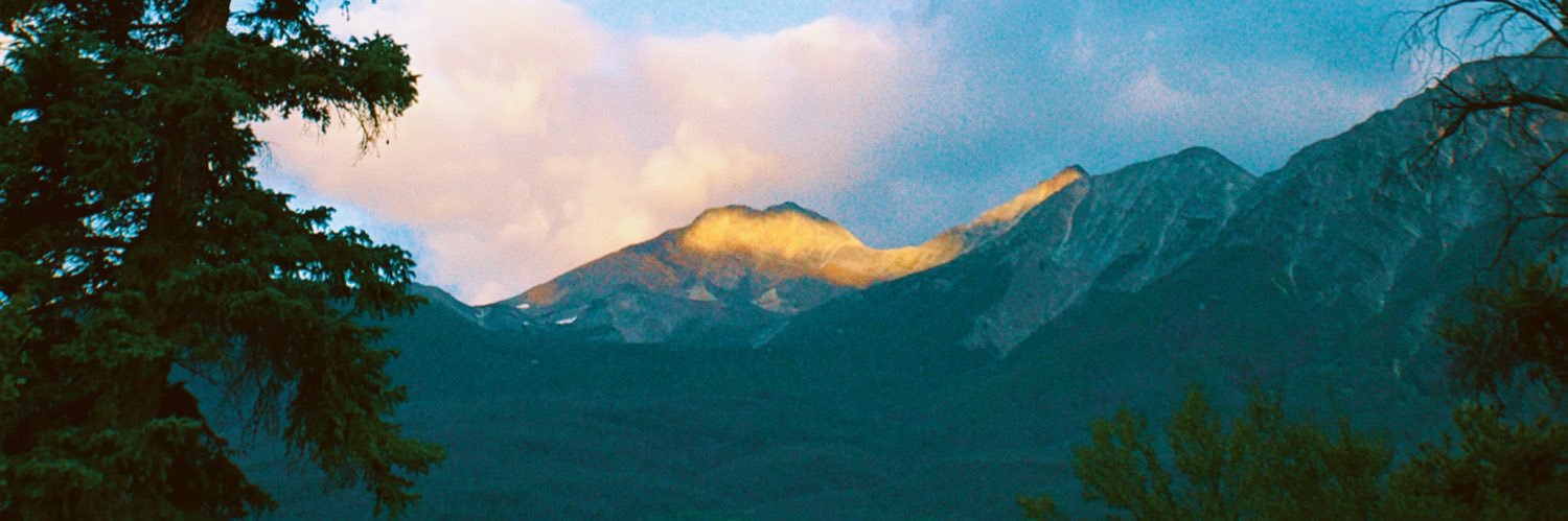 LaurenMerks's profile banner image