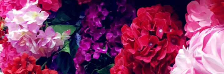 run_fun123's profile banner image