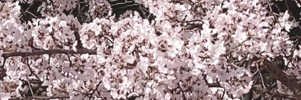 薫+ ⬜︎ out banner