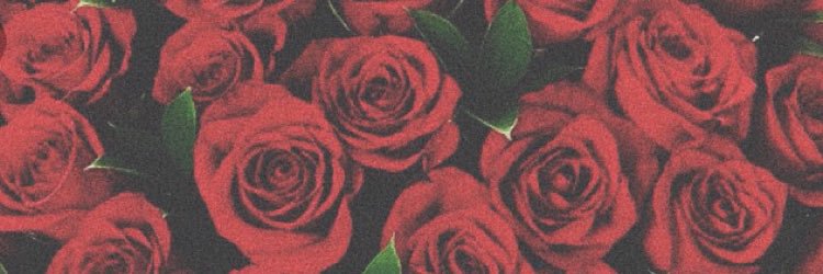 morganclouddd's profile banner image