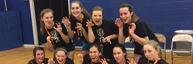 DunkinDinos's profile banner image