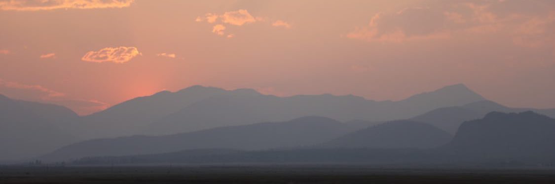 iotaindigo's profile banner image