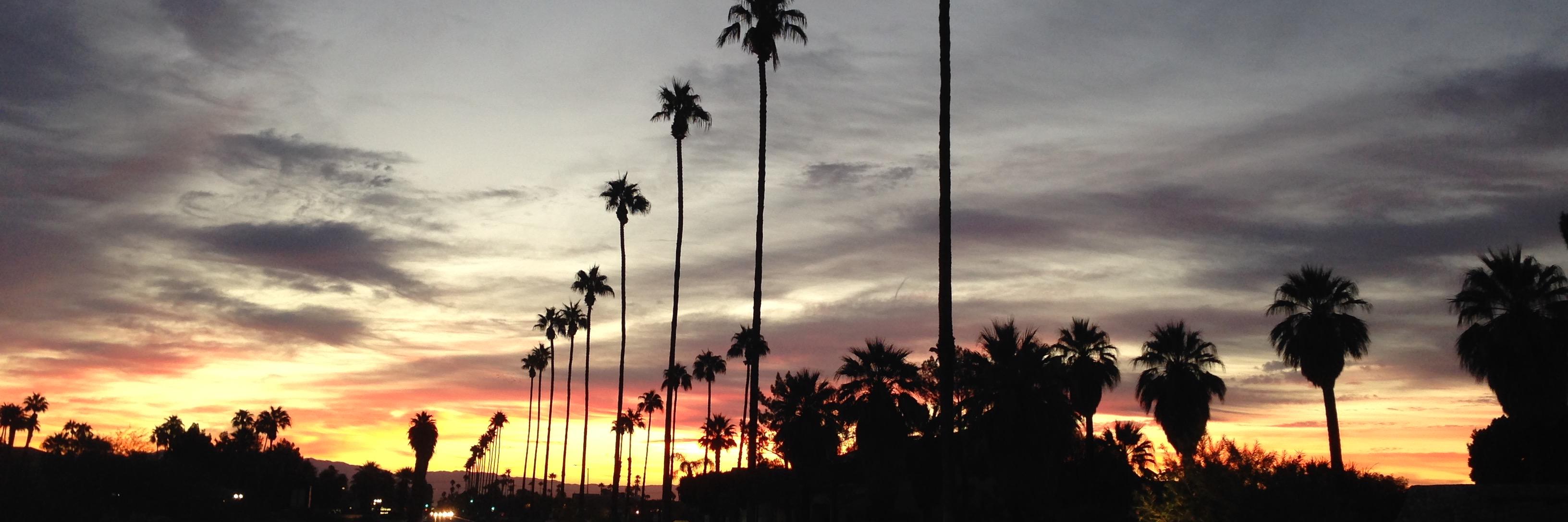 Patrick Callahan banner