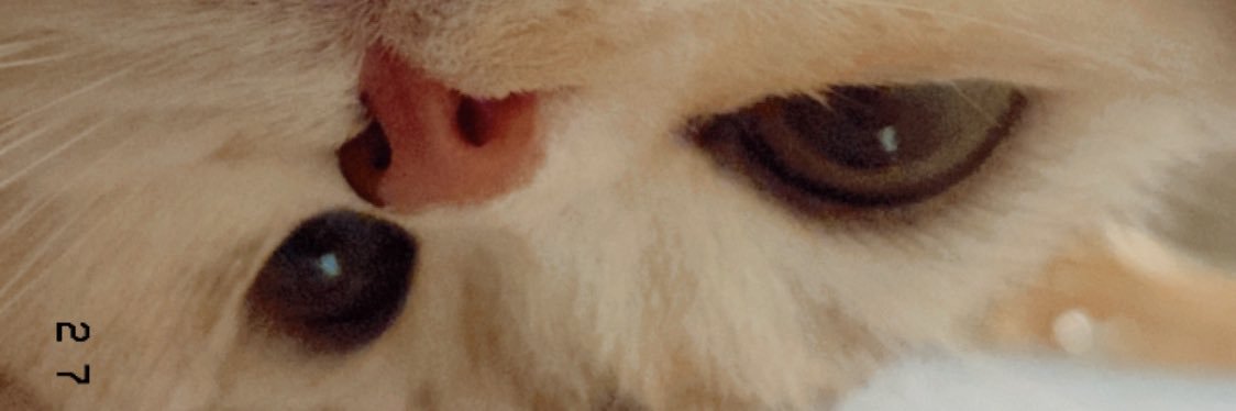 dadaxh's profile banner image