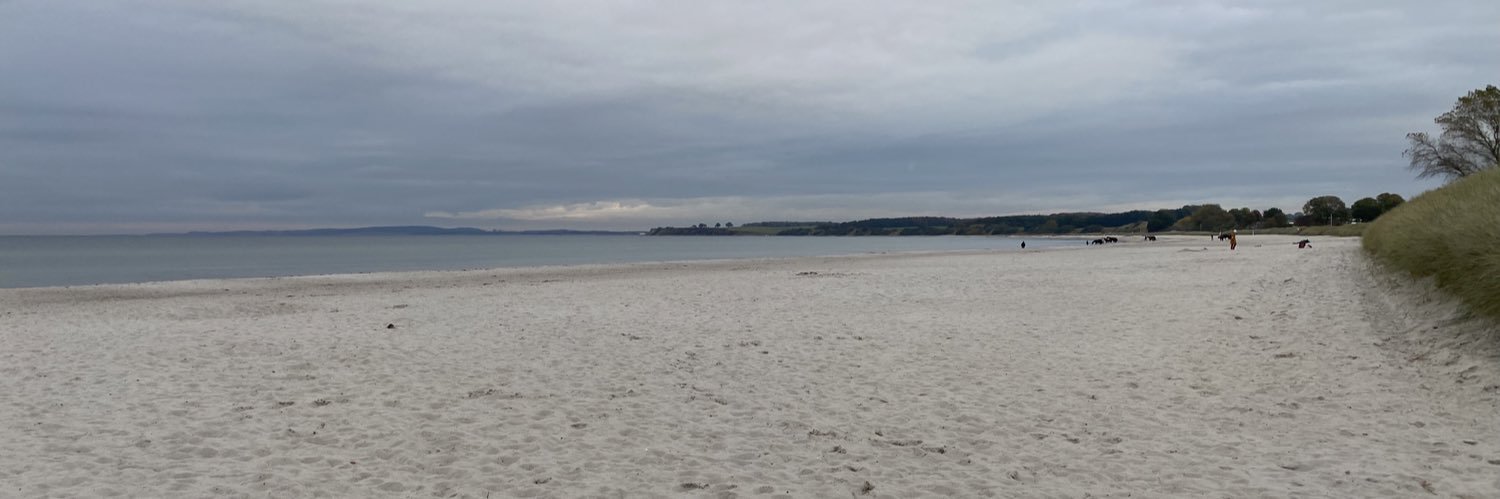 Talan Skeels-Piggins PLY banner