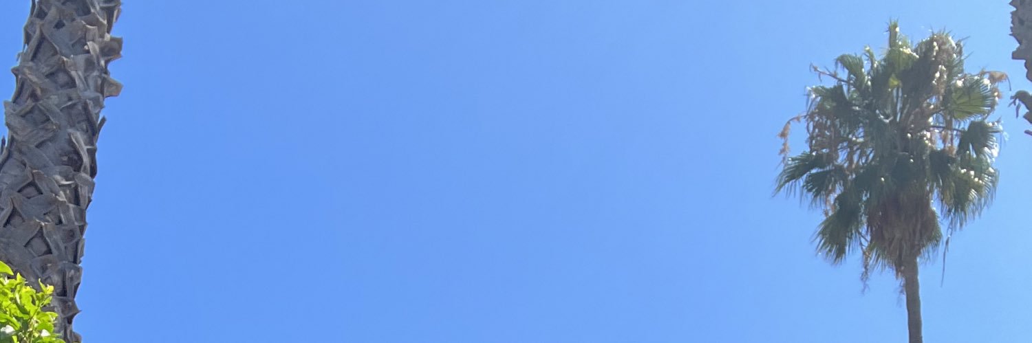 ZalmaBour's profile banner image