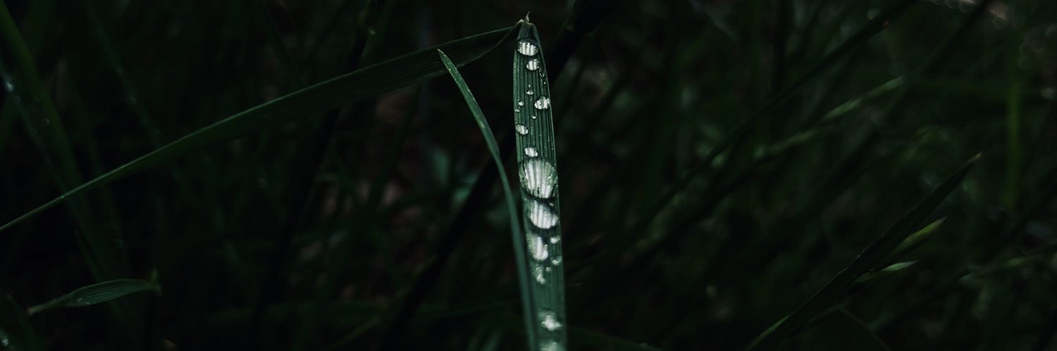 scobzilla_101's profile banner image