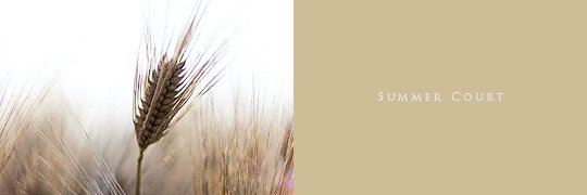 Cresseida's profile banner image