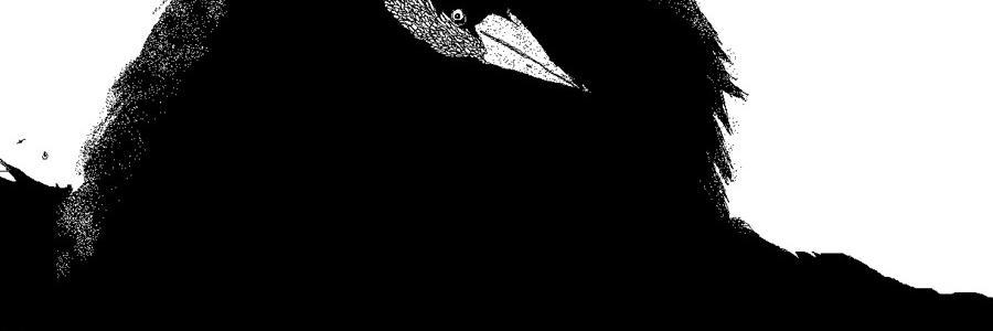 Rastignacwild's profile banner image
