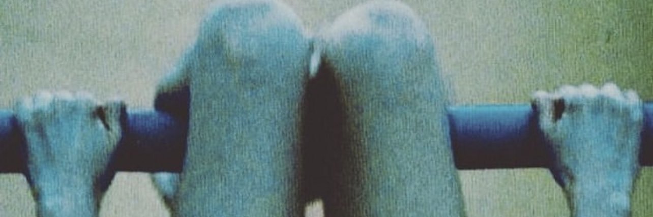 _prisciluuhhh's profile banner image