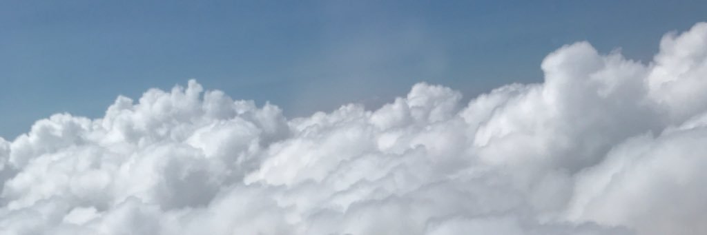 Gavin Lasseigne banner