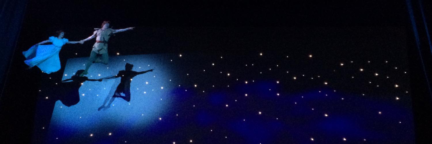 tdlsdt's profile banner image