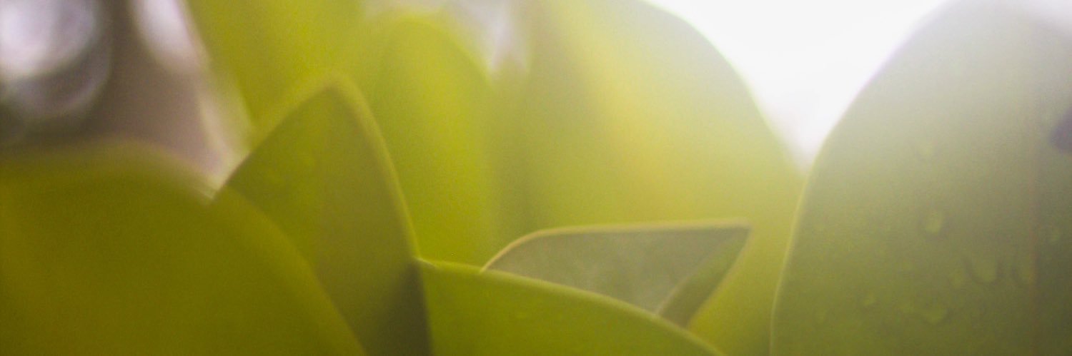 sarahfoster0's profile banner image