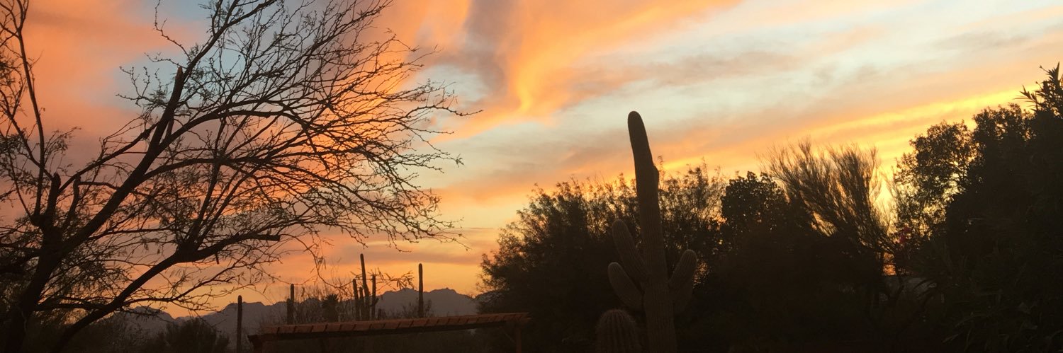 phlapper22's profile banner image