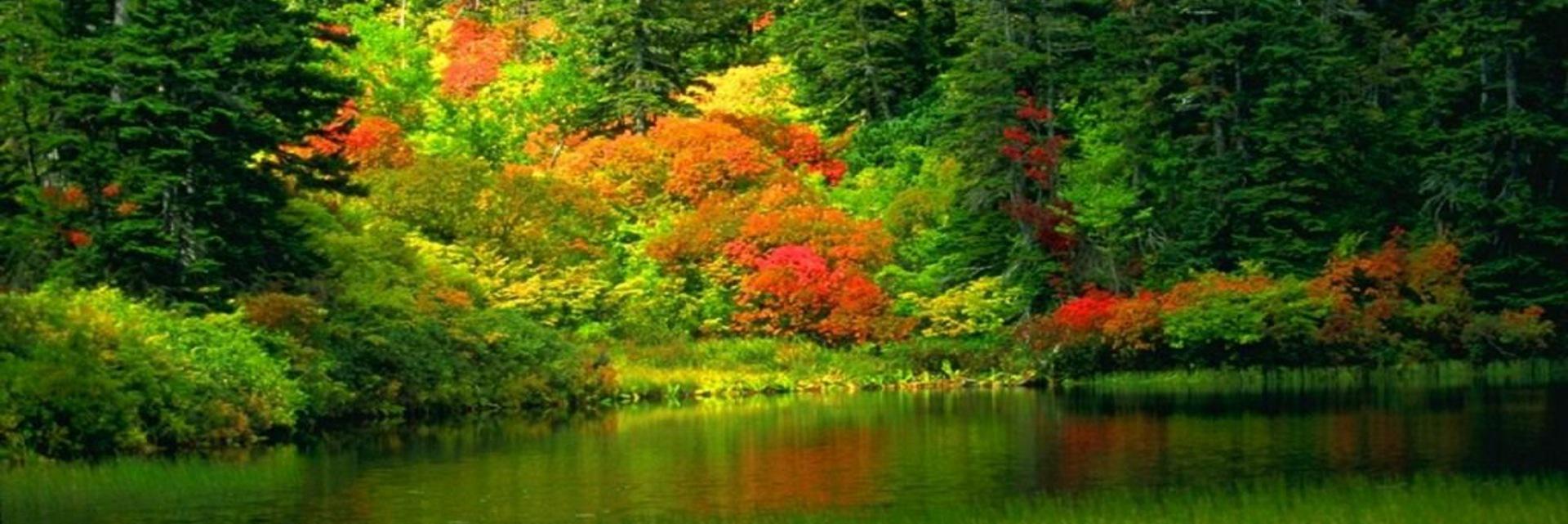 Tatia_R's profile banner image