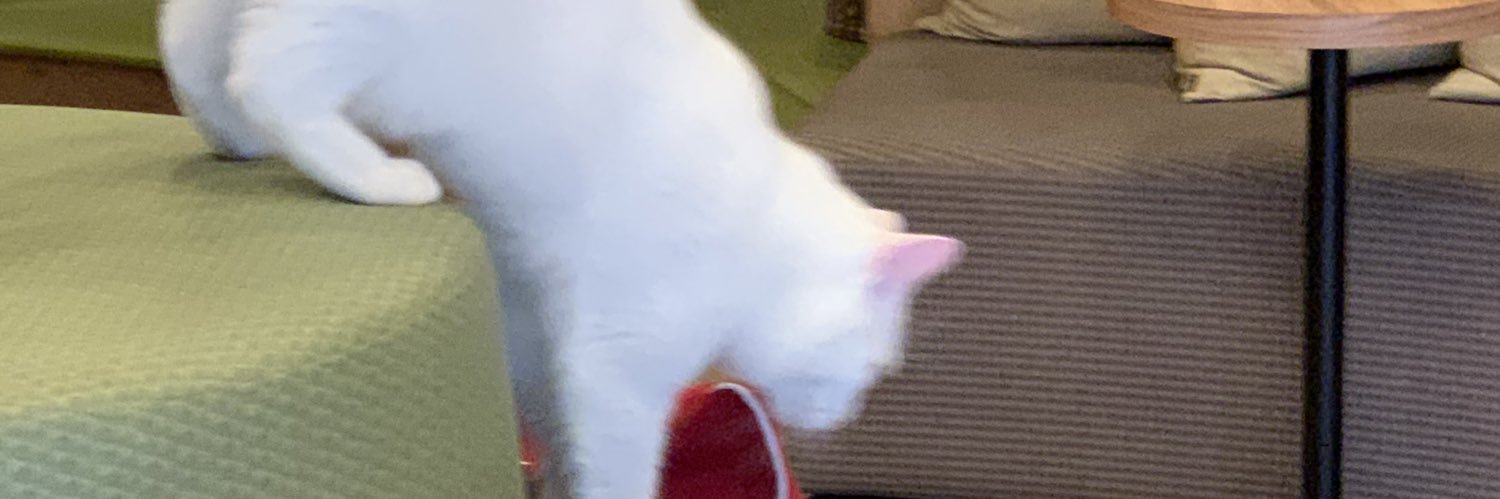 よよんでる banner