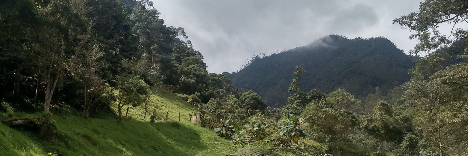 Jonathan Rodriguez banner