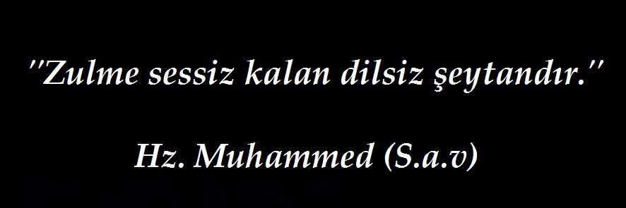 semihcaglar's profile banner image