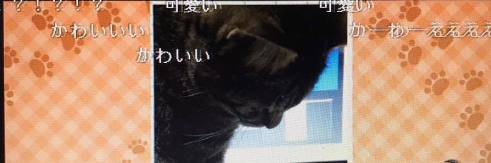 espanyansw's profile banner image