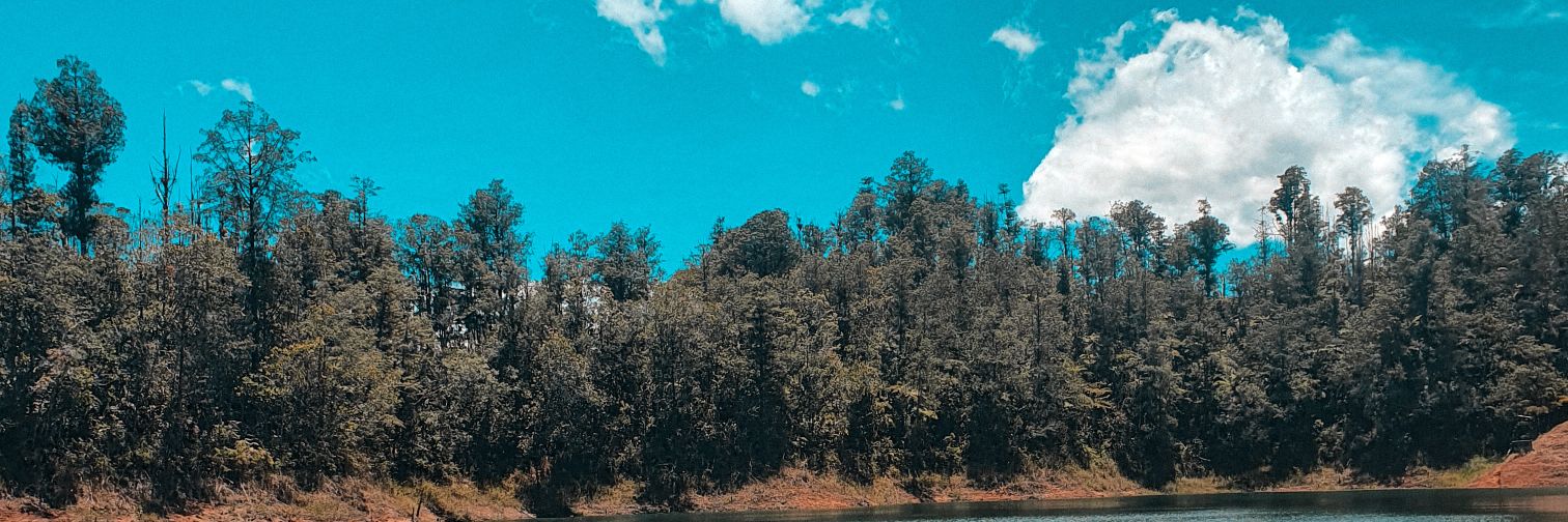 asghf888's profile banner image