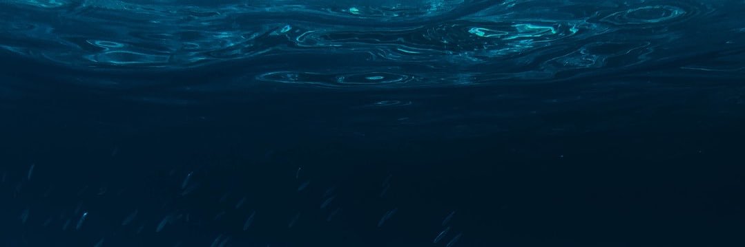 RachelKader's profile banner image
