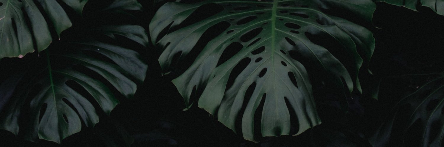 ElizabethEPR's profile banner image