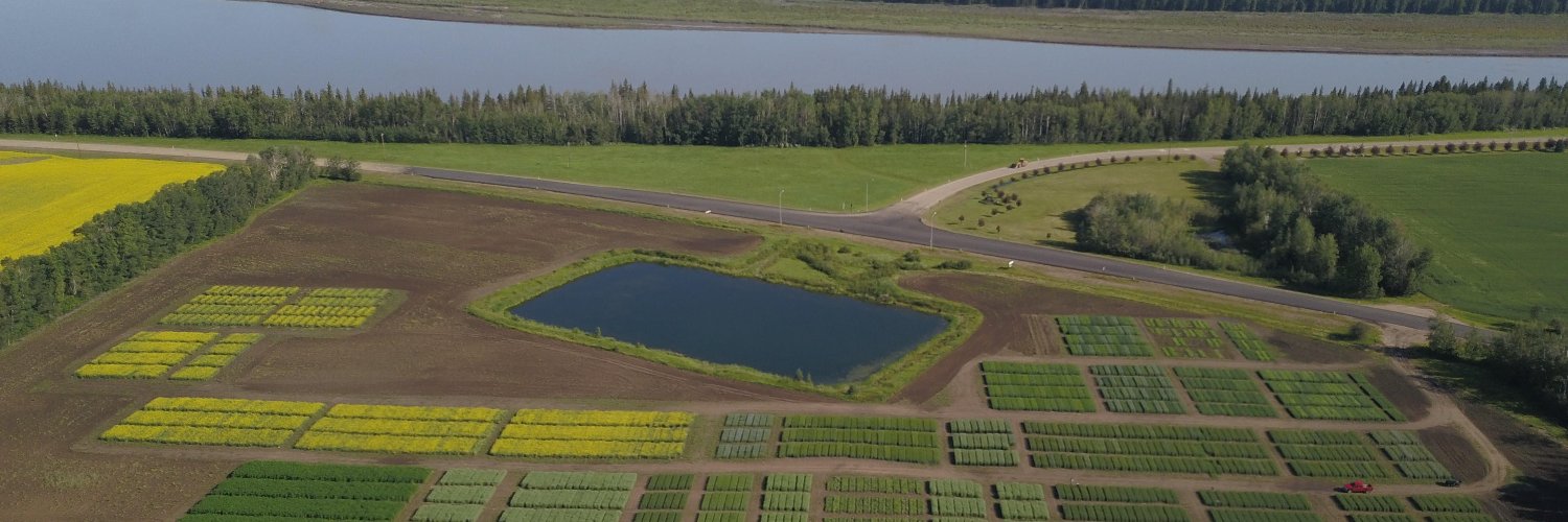 Mackenzie Research banner