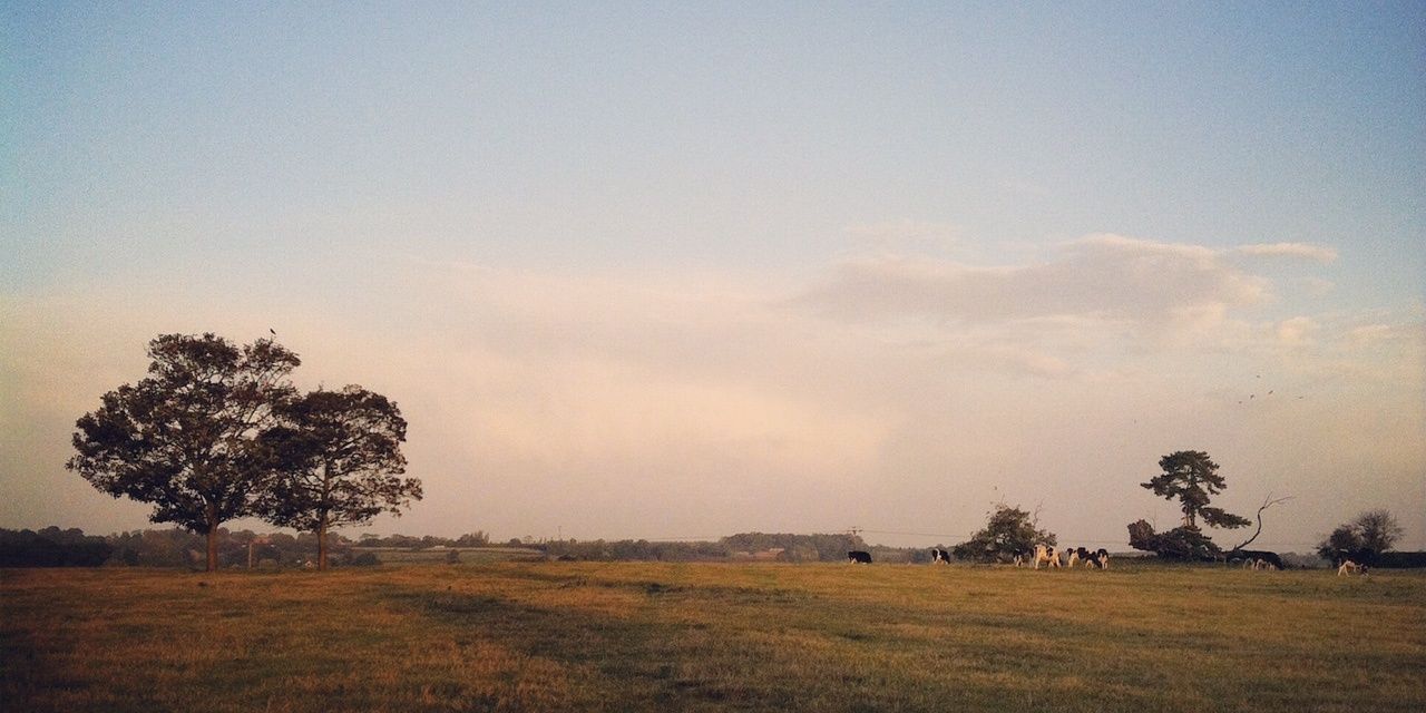 KeepRural's profile banner image