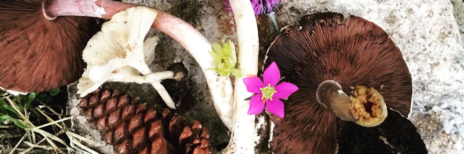 A. Peyton Smith banner