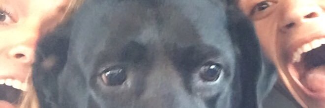 BurnsRhett's profile banner image