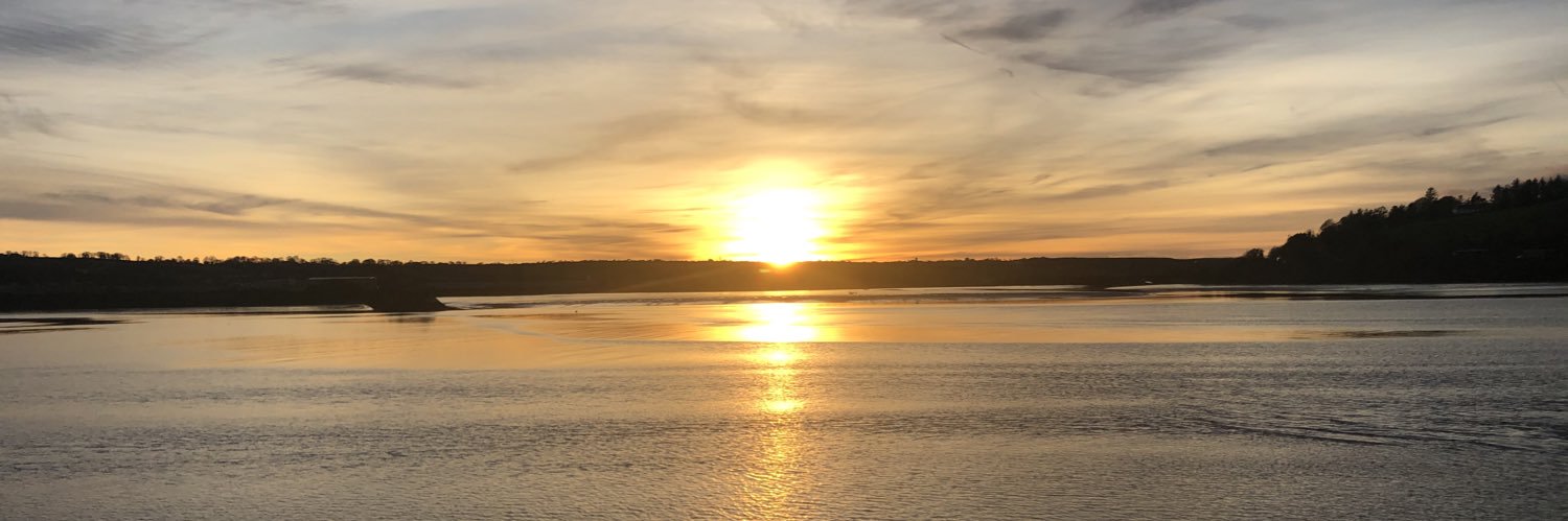 evieflynn's profile banner image