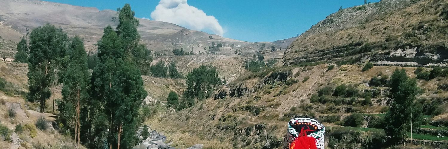 AnaHilser's profile banner image