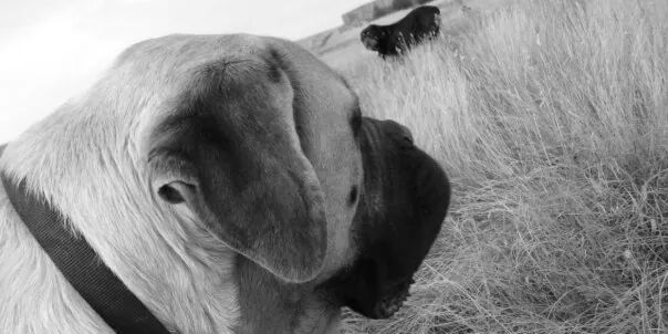 Jeanette1053's profile banner image
