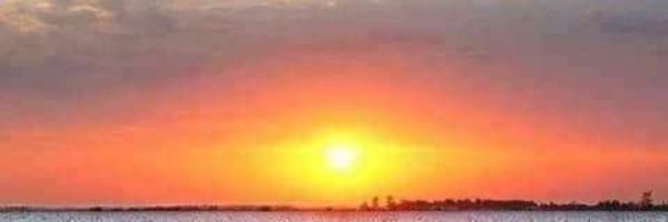 35zahedi's profile banner image