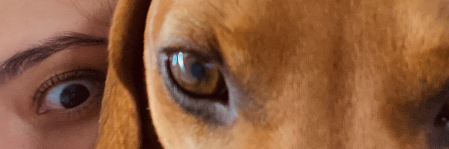 Nanda Salles 🎈 banner