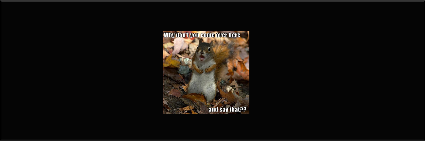 Mildly Hip Squirrel banner