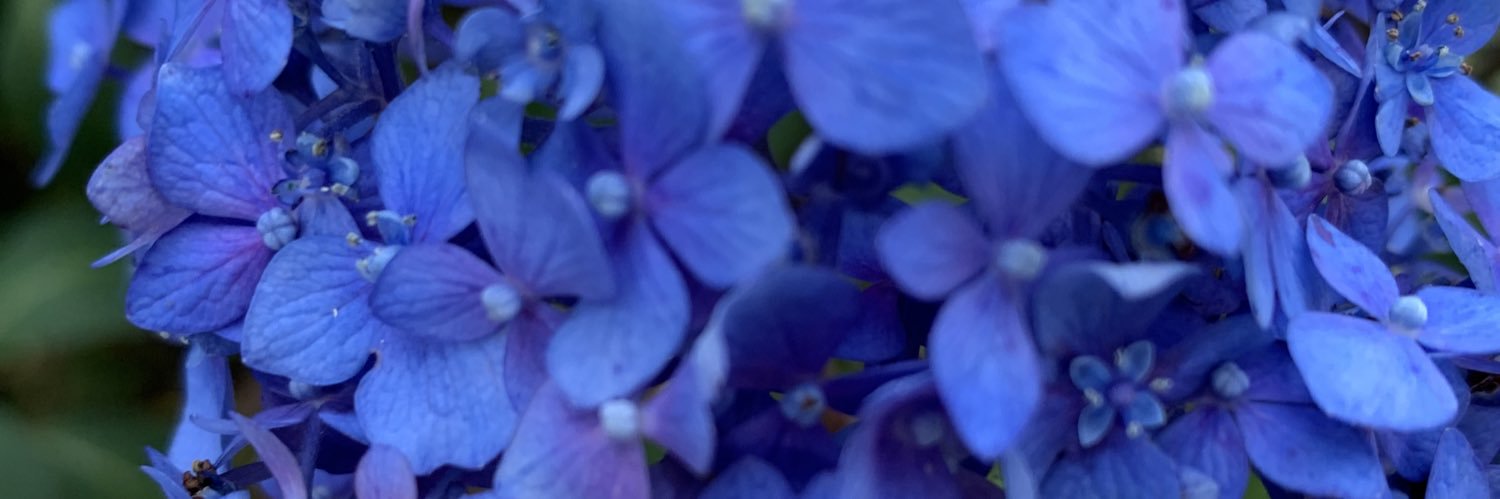 conwaysmithad's profile banner image