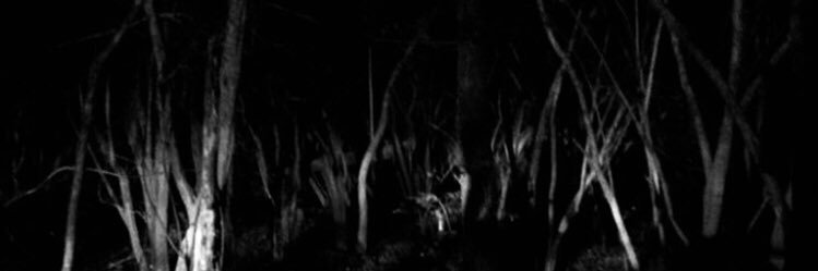 velsser's profile banner image