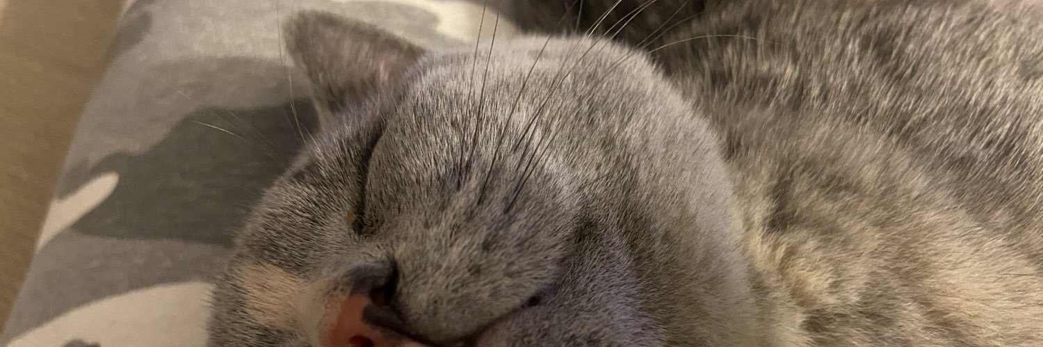 WheelerMads's profile banner image