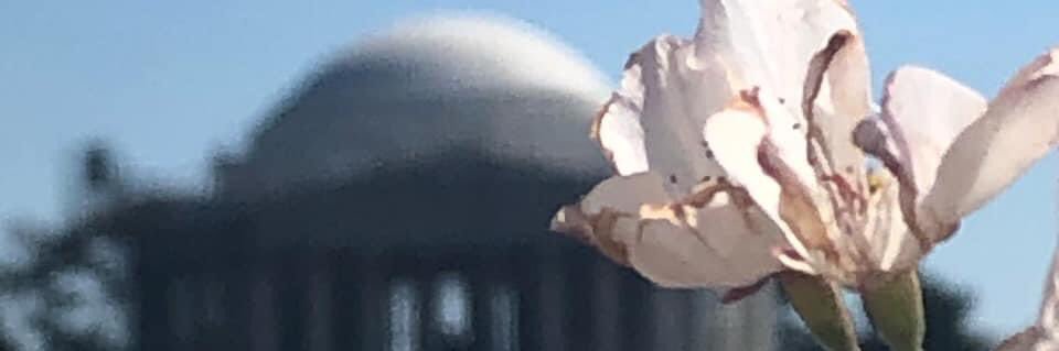 GREED_90's banner