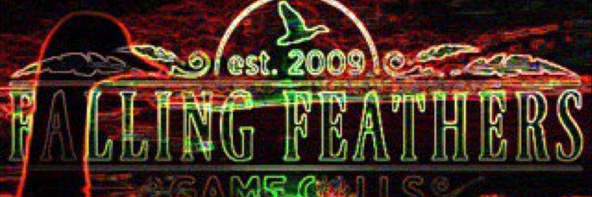 Falling_FGC's profile banner image