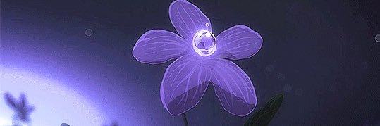 Purkvn 🐦‍🔥 banner