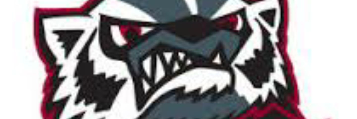 SuttonBadgers's profile banner image