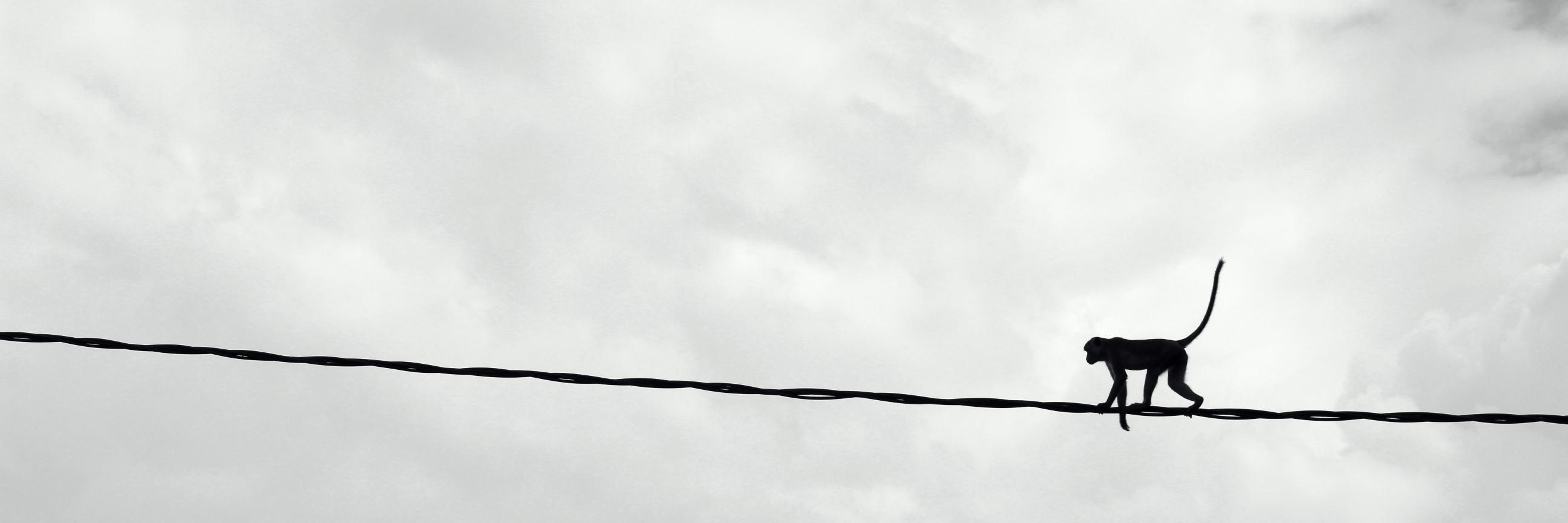 jasminninefour's profile banner image