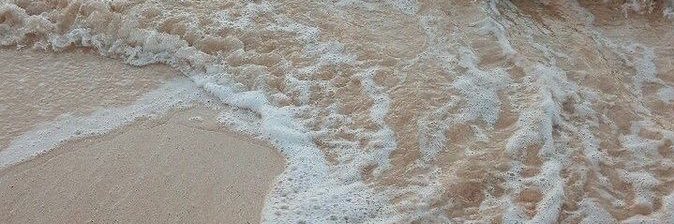 WindaYp's profile banner image