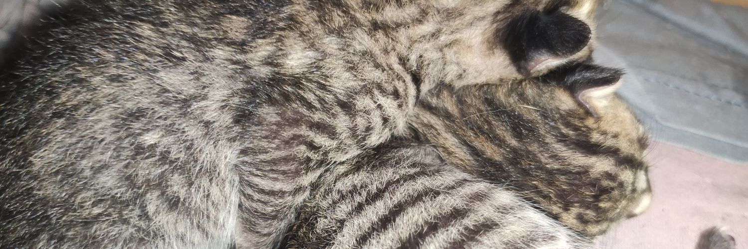 rickybitmal's profile banner image