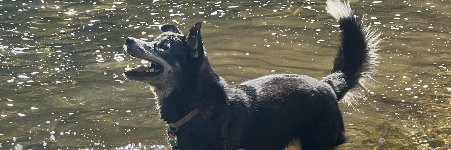 Mrs_MHink's profile banner image