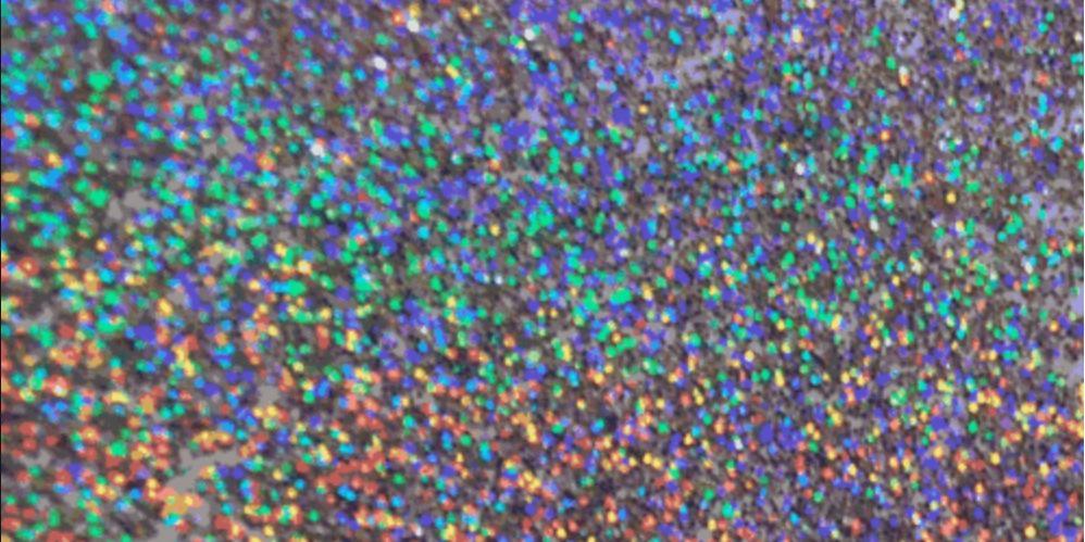 tesxtpost's profile banner image