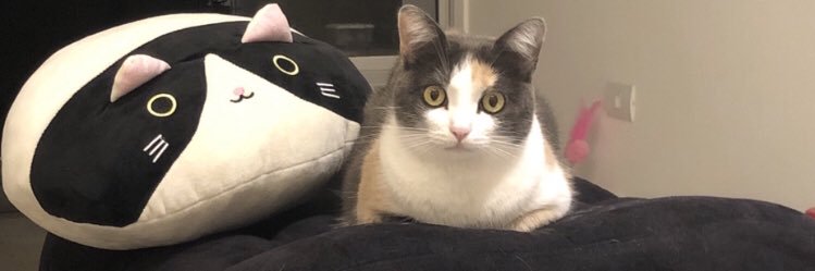 escalonaperroni's profile banner image