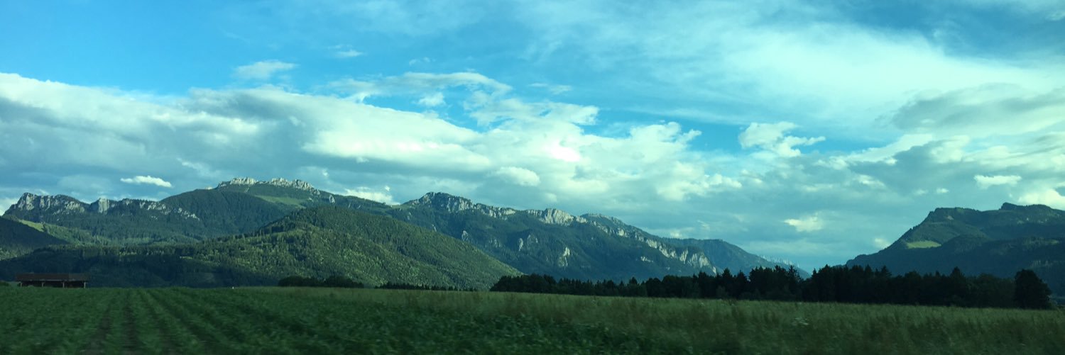megadilf's profile banner image